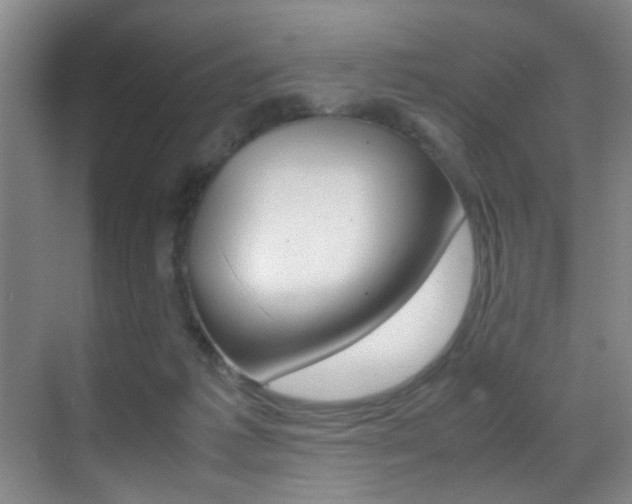 X0000070410221200606091004