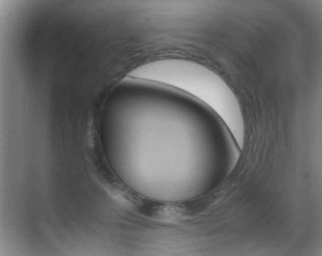 X0000070410223200606091004