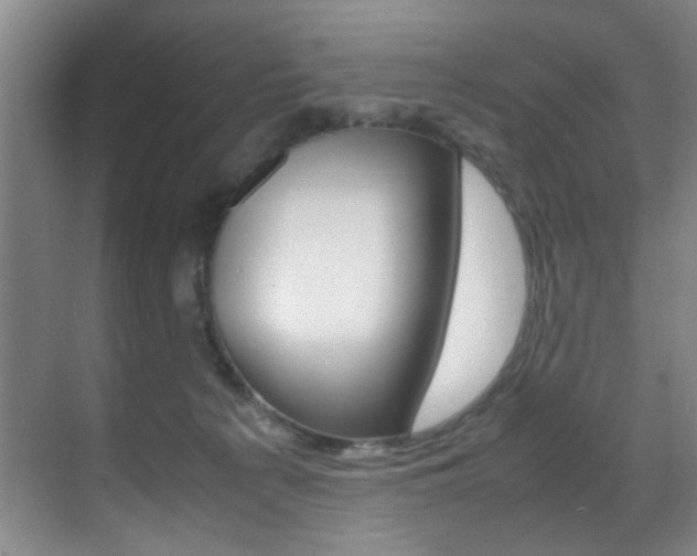 X0000070410225200606091004