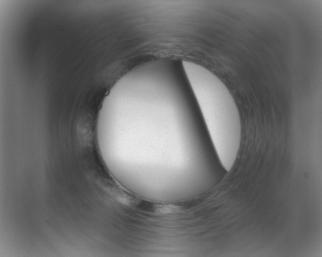 X0000070410226200606091004