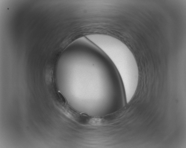 X0000070410227200606091004