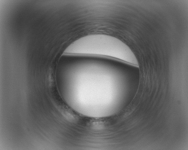 X0000070410228200606091004