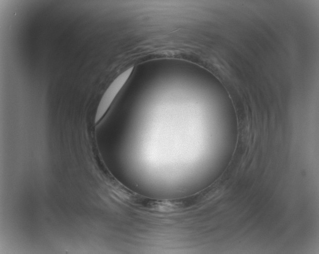 X0000070410229200606091004