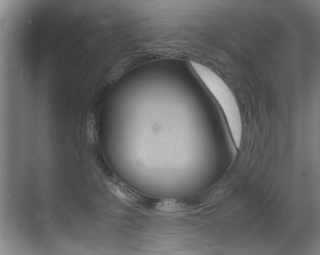 X0000070410231200606091004