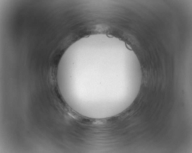 X0000070410236200606091003