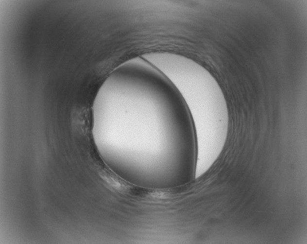 X0000070410237200606091003