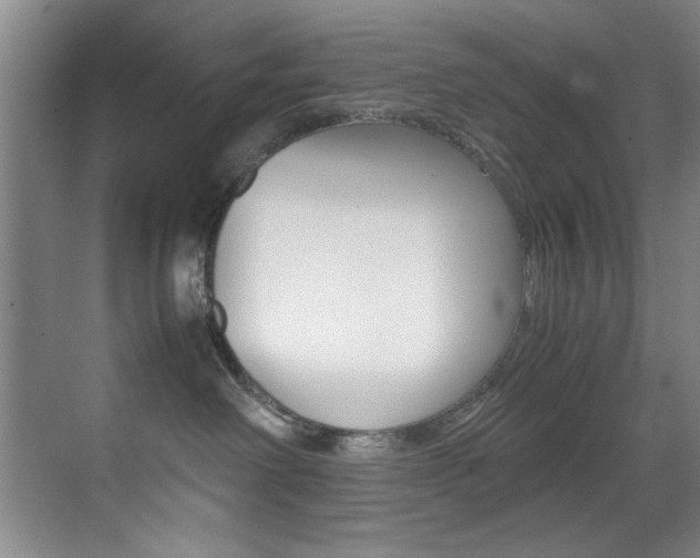 X0000070410238200606091003