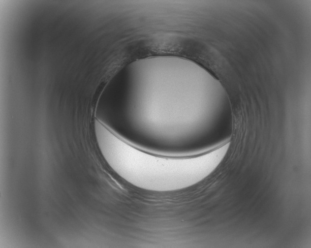 X0000070410239200606091003