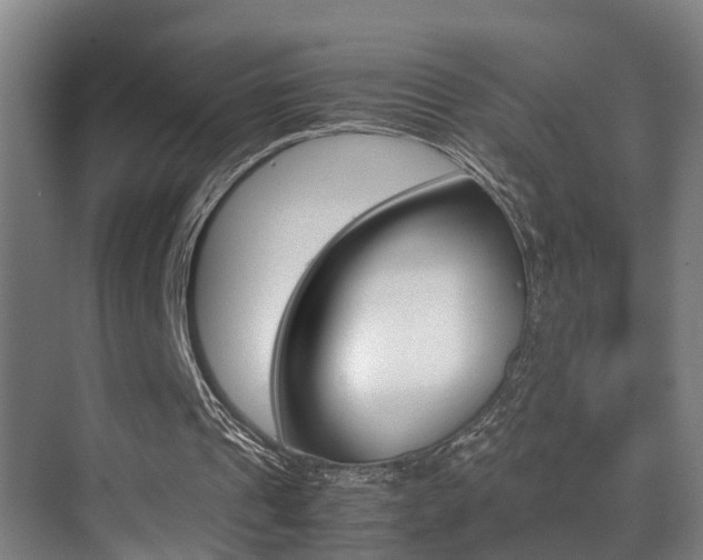 X0000070410241200606091003