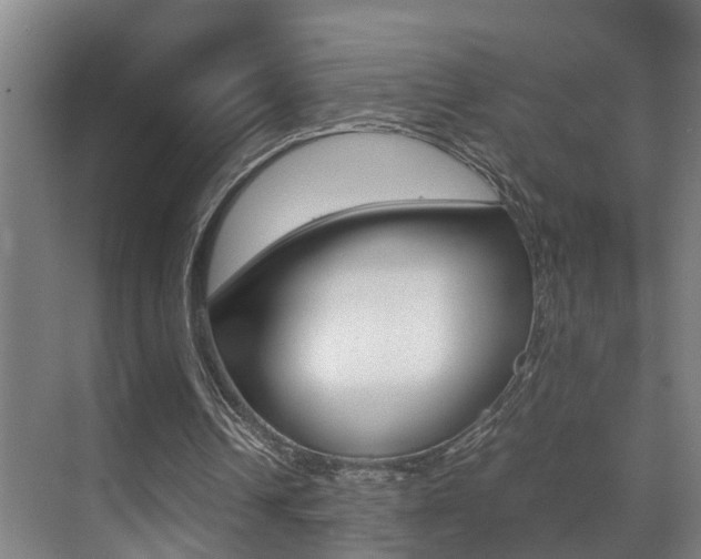 X0000070410242200606091003