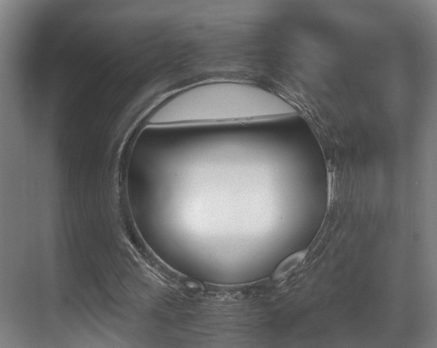 X0000070410243200606091003