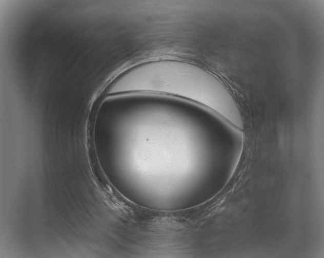 X0000070410244200606091003