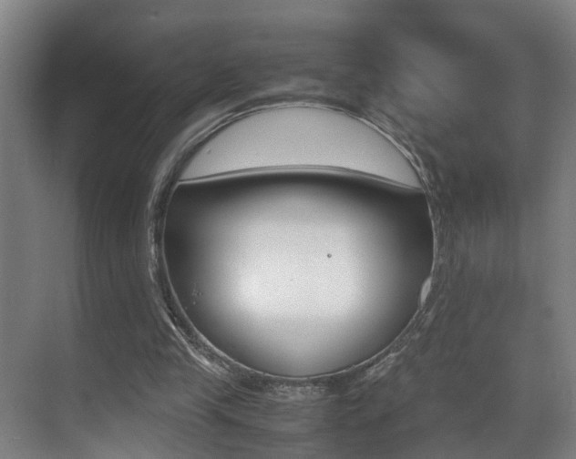 X0000070410245200606091003