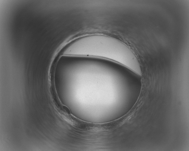 X0000070410246200606091003