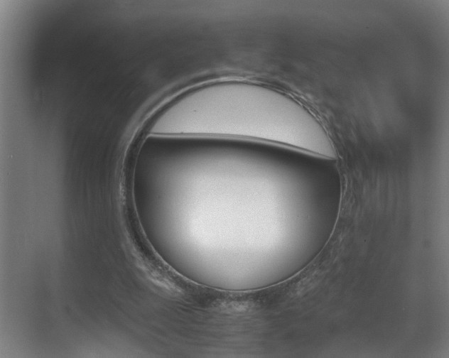 X0000070410247200606091003