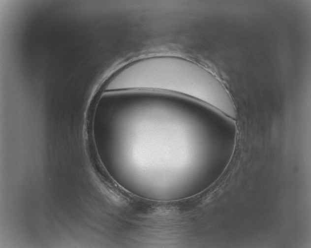 X0000070410248200606091003