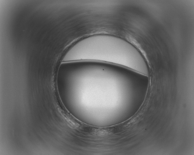 X0000070410249200606091003