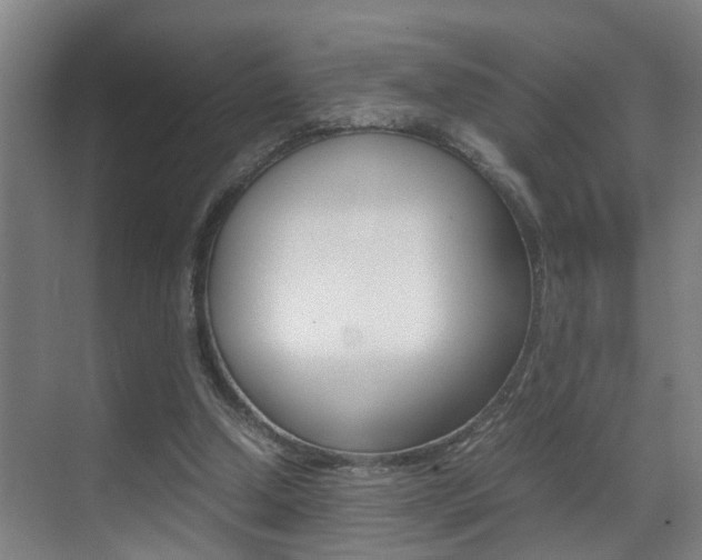 X0000070410250200606091003