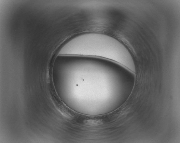 X0000070410251200606091003