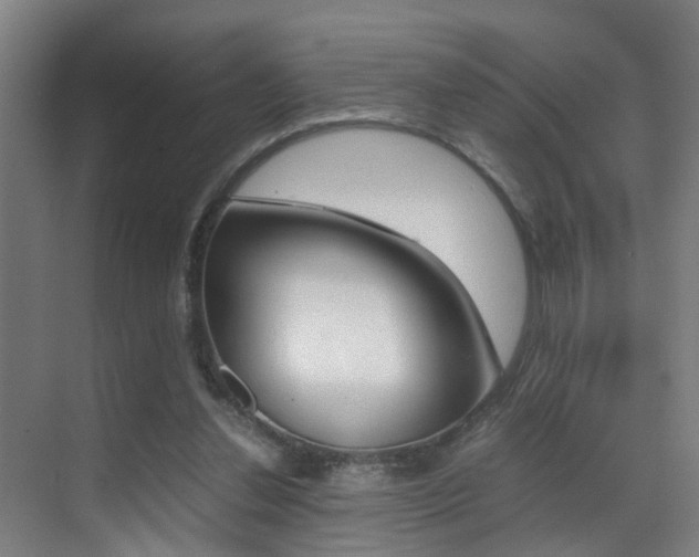 X0000070410252200606091003