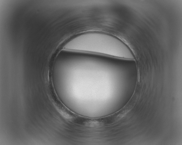 X0000070410253200606091003