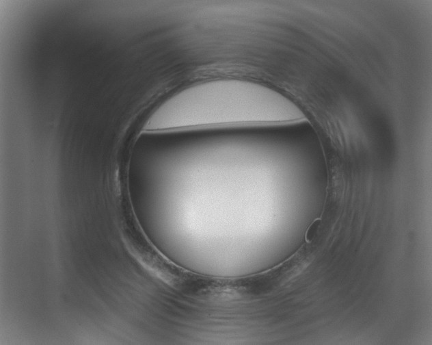 X0000070410254200606091003