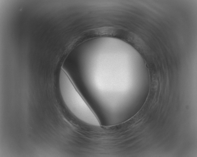 X0000070410255200606091003