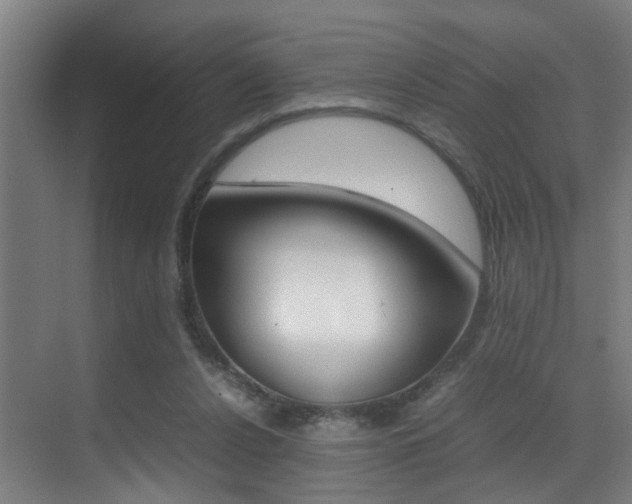 X0000070410256200606091003