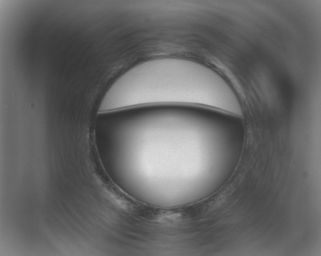 X0000070410257200606091003