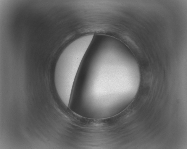 X0000070410260200606091003