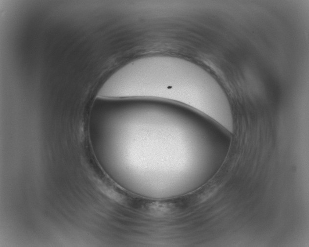 X0000070410261200606091003