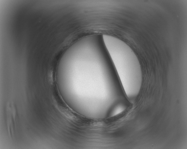 X0000070410262200606091003