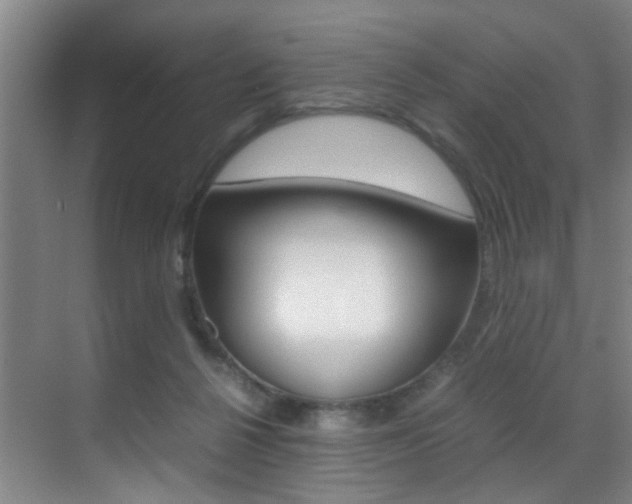 X0000070410264200606091003