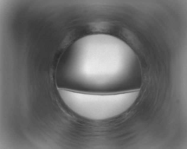 X0000070410265200606091003