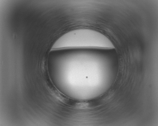 X0000070410266200606091003