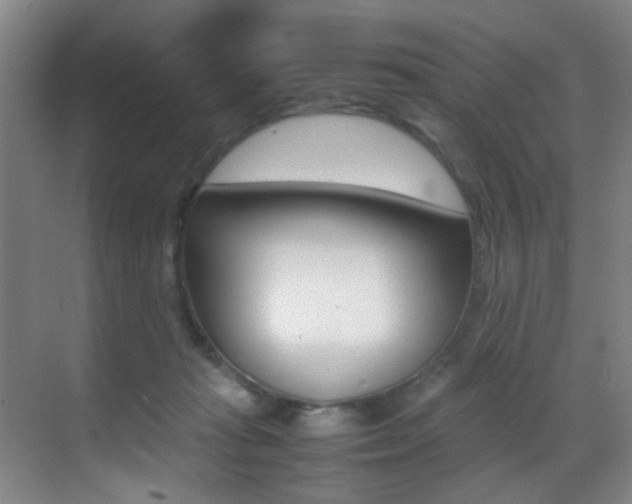 X0000070410269200606091003