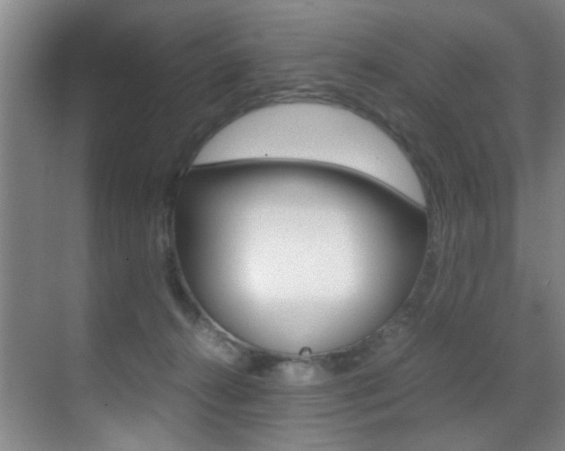 X0000070410272200606091003