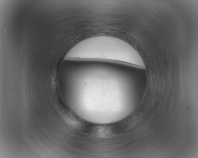 X0000070410275200606091003