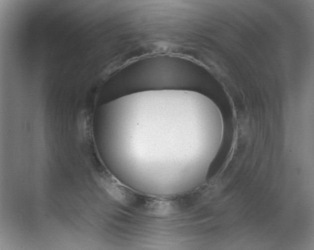 X0000070410276200606091003