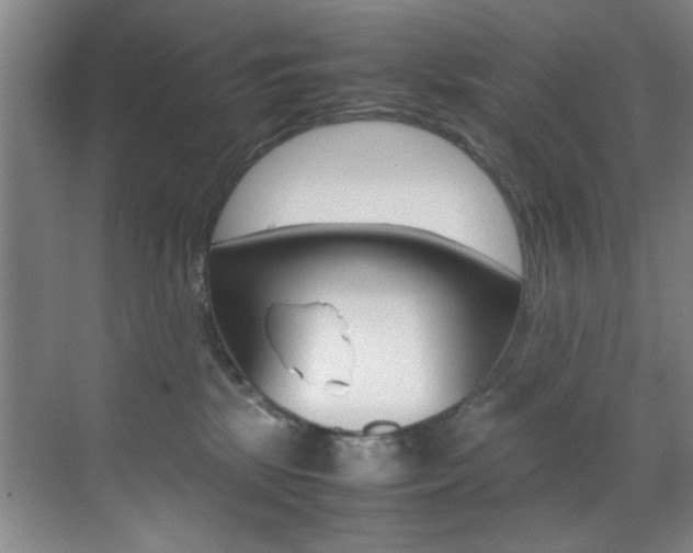 X0000070410281200606091003