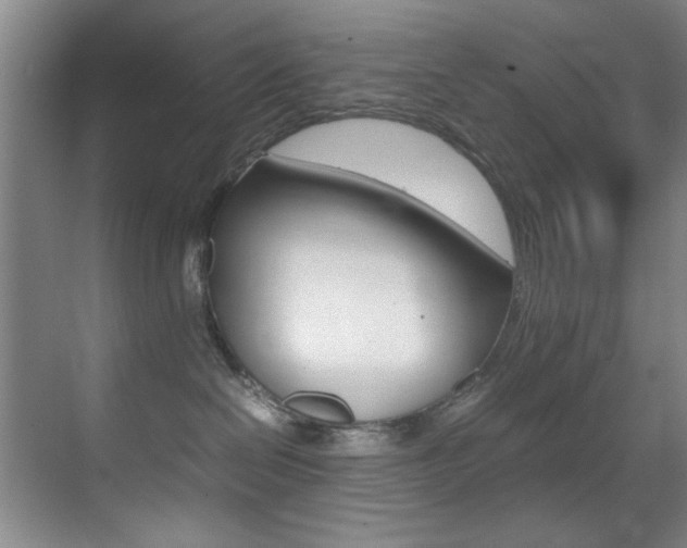 X0000070410286200606091003