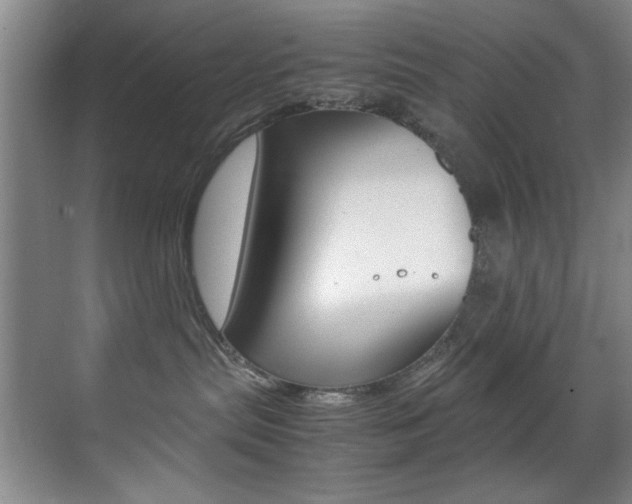 X0000070410287200606091003