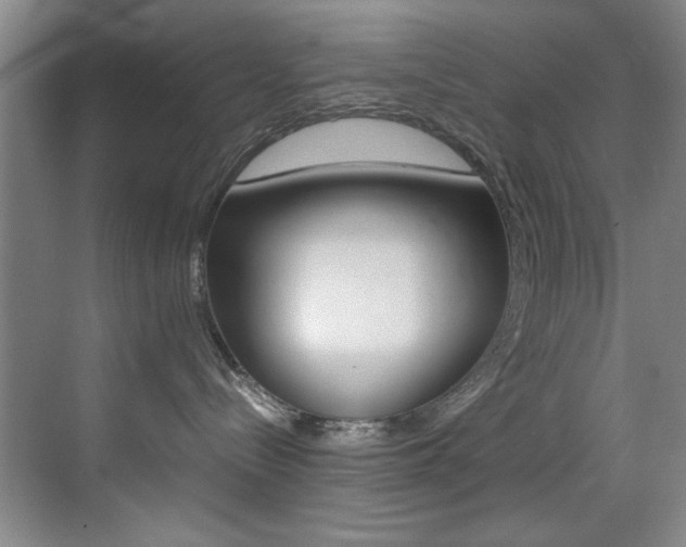 X0000070410288200606091003