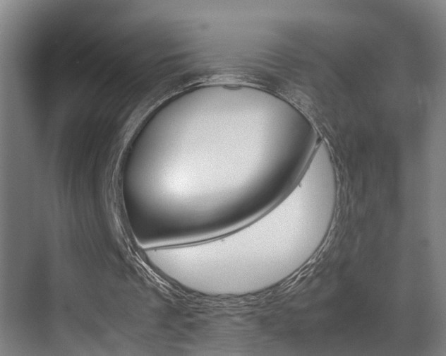 X0000070410289200606091003