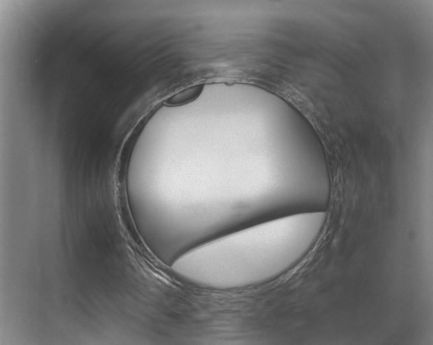 X0000070410290200606091003