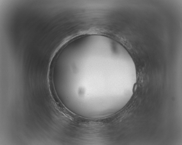 X0000070410292200606091002