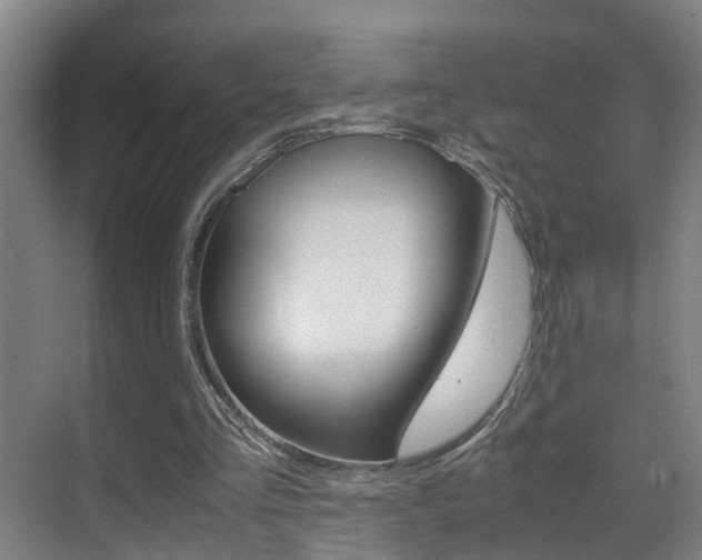 X0000070410293200606091002