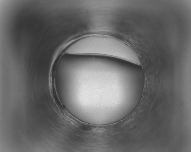 X0000070410294200606091002