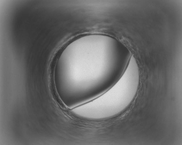 X0000070410295200606091002