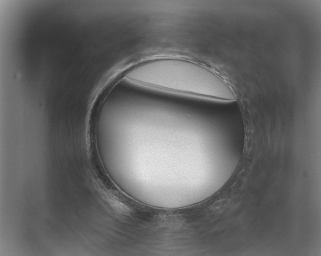 X0000070410296200606091002